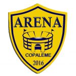 parceiro Arena logotipo